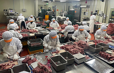 img_business_area_03